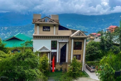 Cilantro-Unwind-Delisso-Abode3