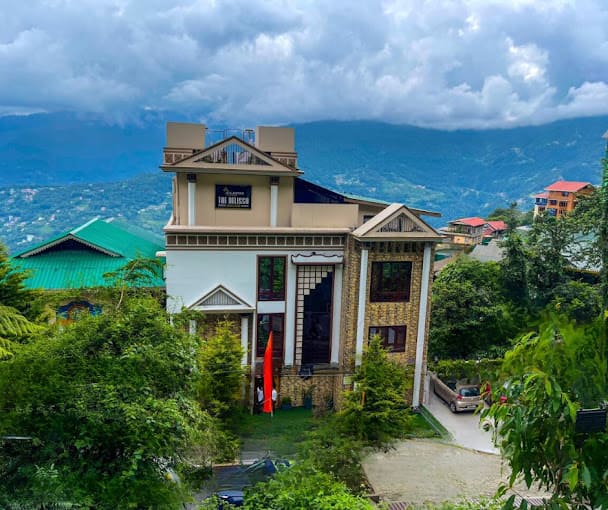 Cilantro Unwind Delisso Abode3